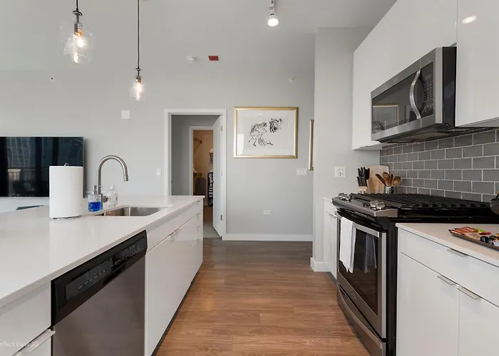 Apartment Aurelien Spacious In The Heart Of Gold Coast Chicago