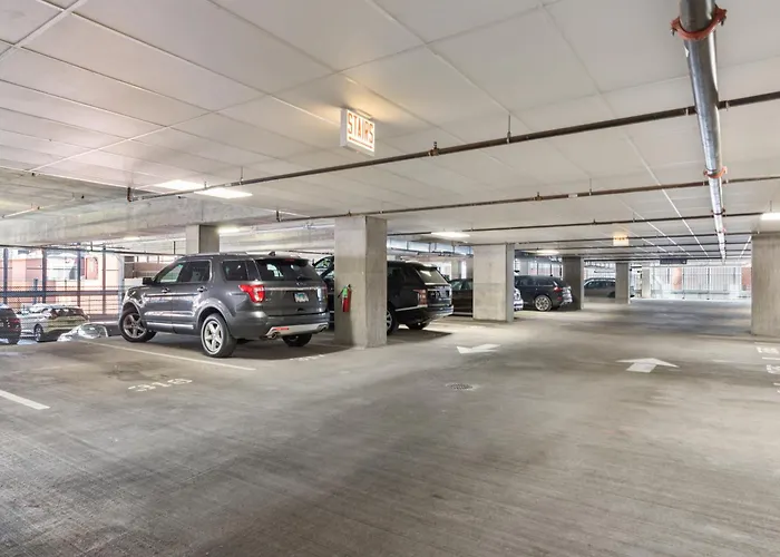 Aurelien Spacious In The Heart Of Gold Coast